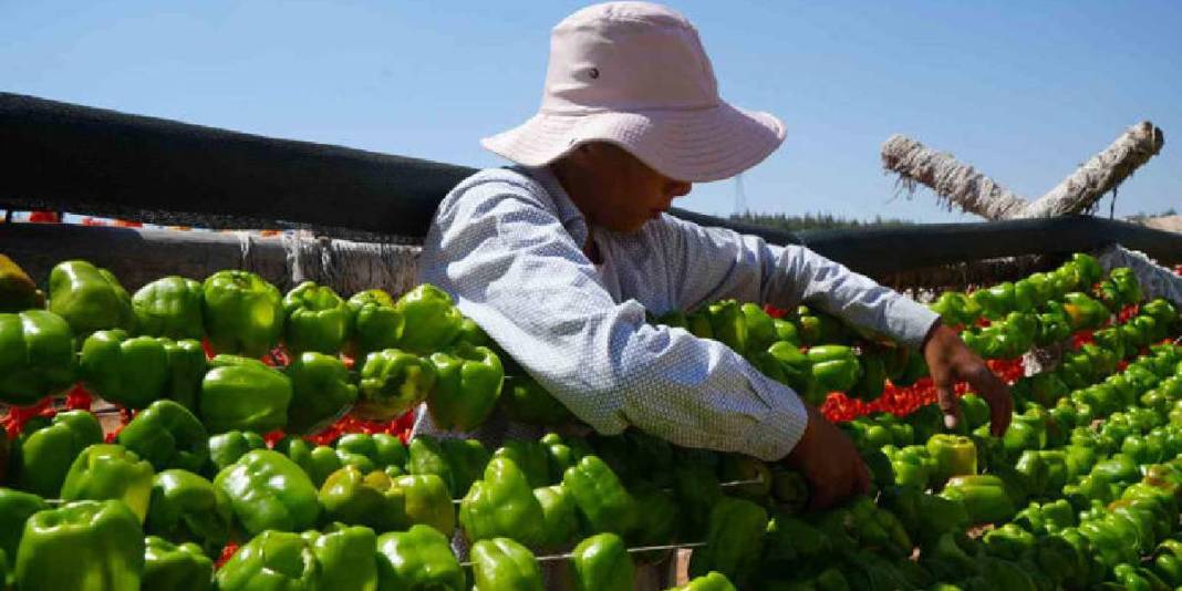 Sezon açıldı eşsiz görüntüler ortaya çıktı! Gaziantep’te lezzetin görsel şöleni: Dron ile görüntülendi… 6